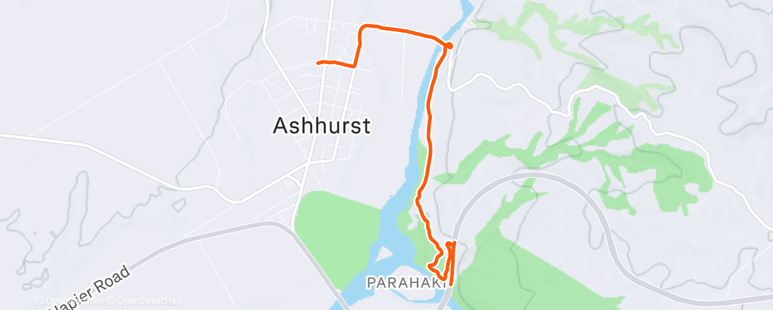 Mapa de la actividad (Morning Run)