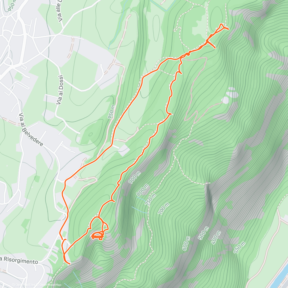 Map of the activity, knedle a kaderava kapusta