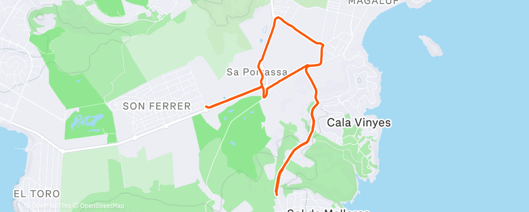 Карта физической активности (No chickening out 🐔)