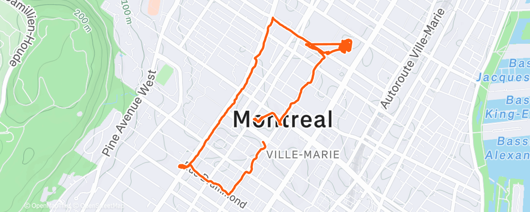 Map of the activity, Afternoon Walk