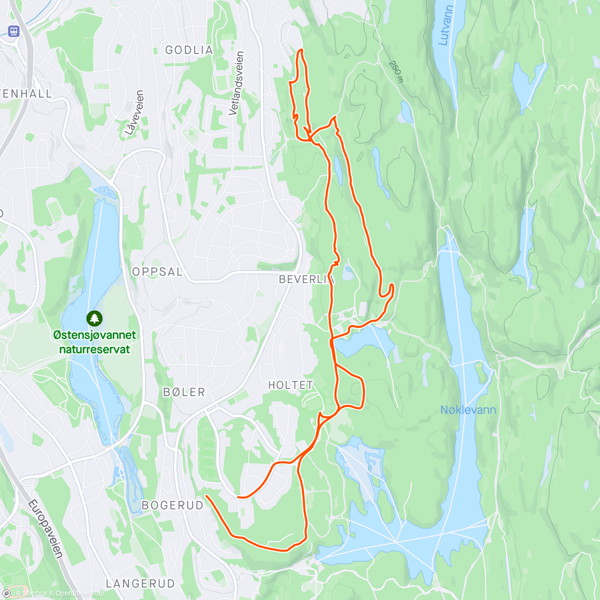 Map of the activity, Trulsen