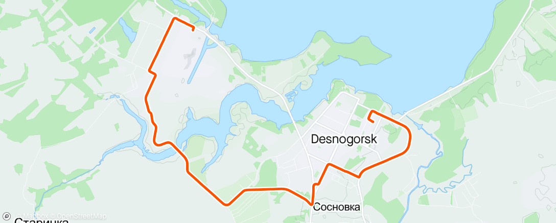 Map of the activity, Десногорск - САЭС (большой круг)