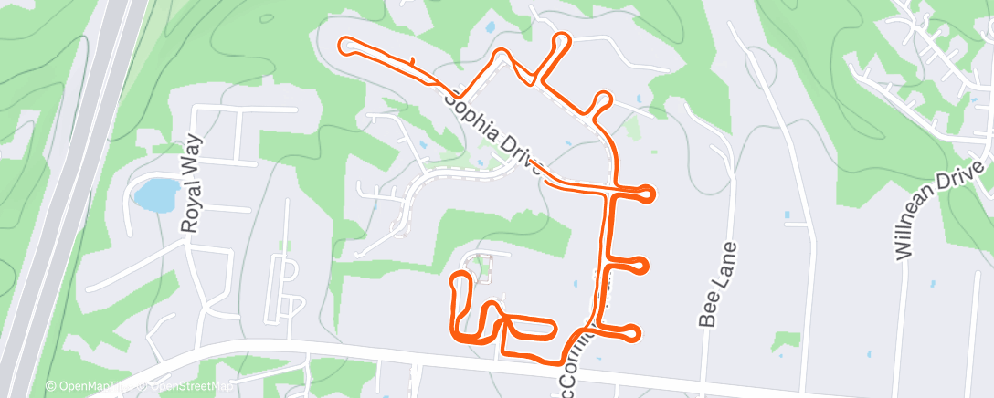 Map of the activity, Evening Walk