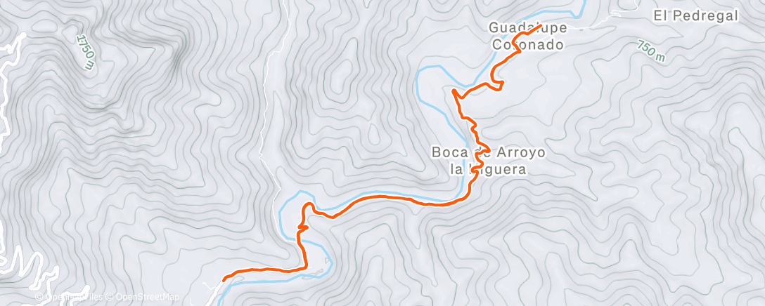 Карта физической активности (To God’s Middle Finger)