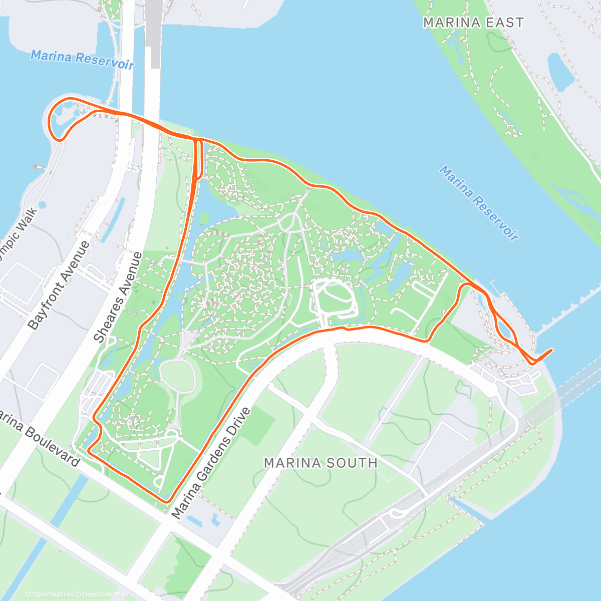 Карта физической активности (Morning Run)