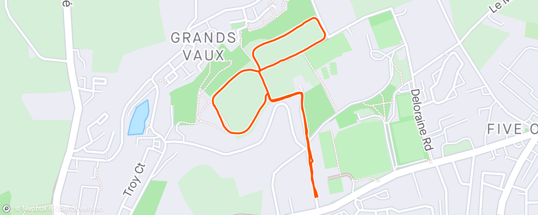 Map of the activity, Afternoon Walk with the doggos