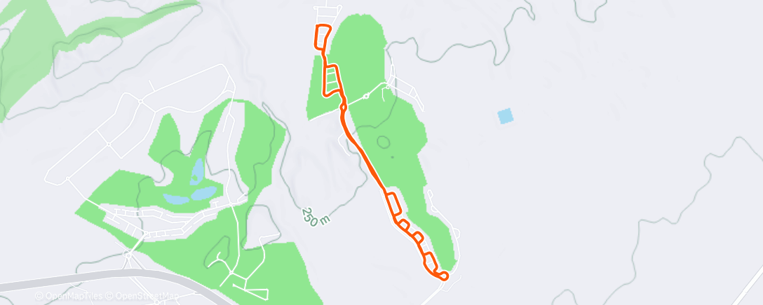 Карта физической активности (Xmas 8)