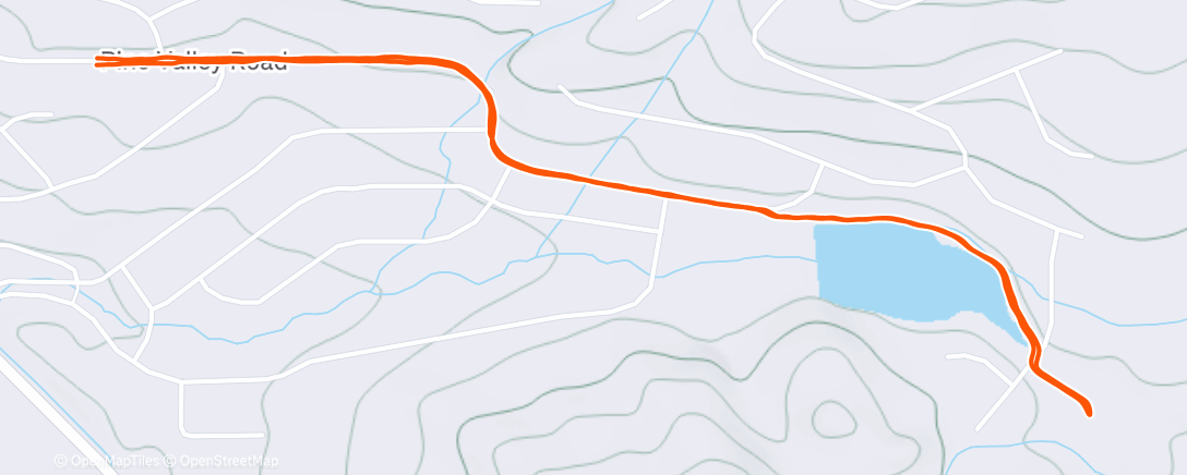 Map of the activity, Happy New Year