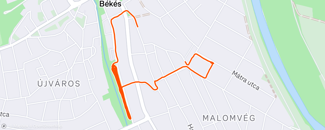 Map of the activity, Afternoon Run