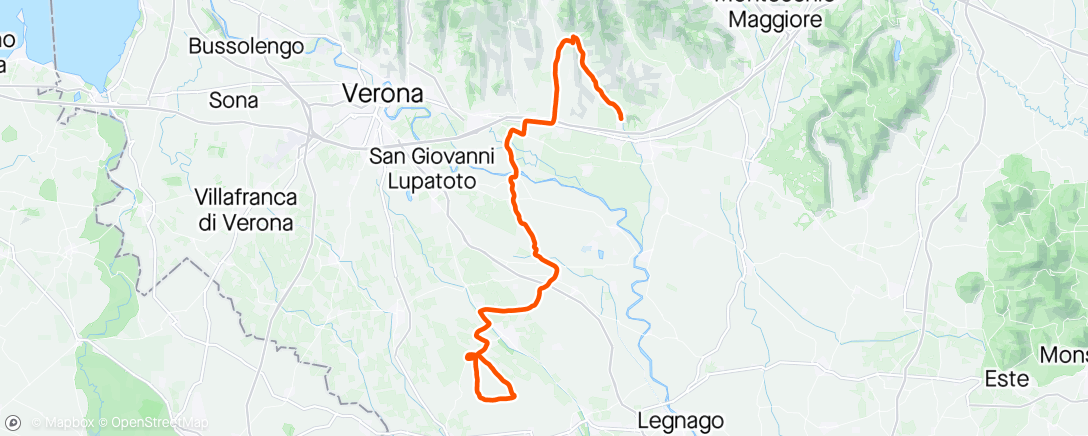 Carte de l'activité Vicenza Bionde