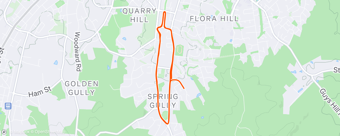 Map of the activity, Evening Run