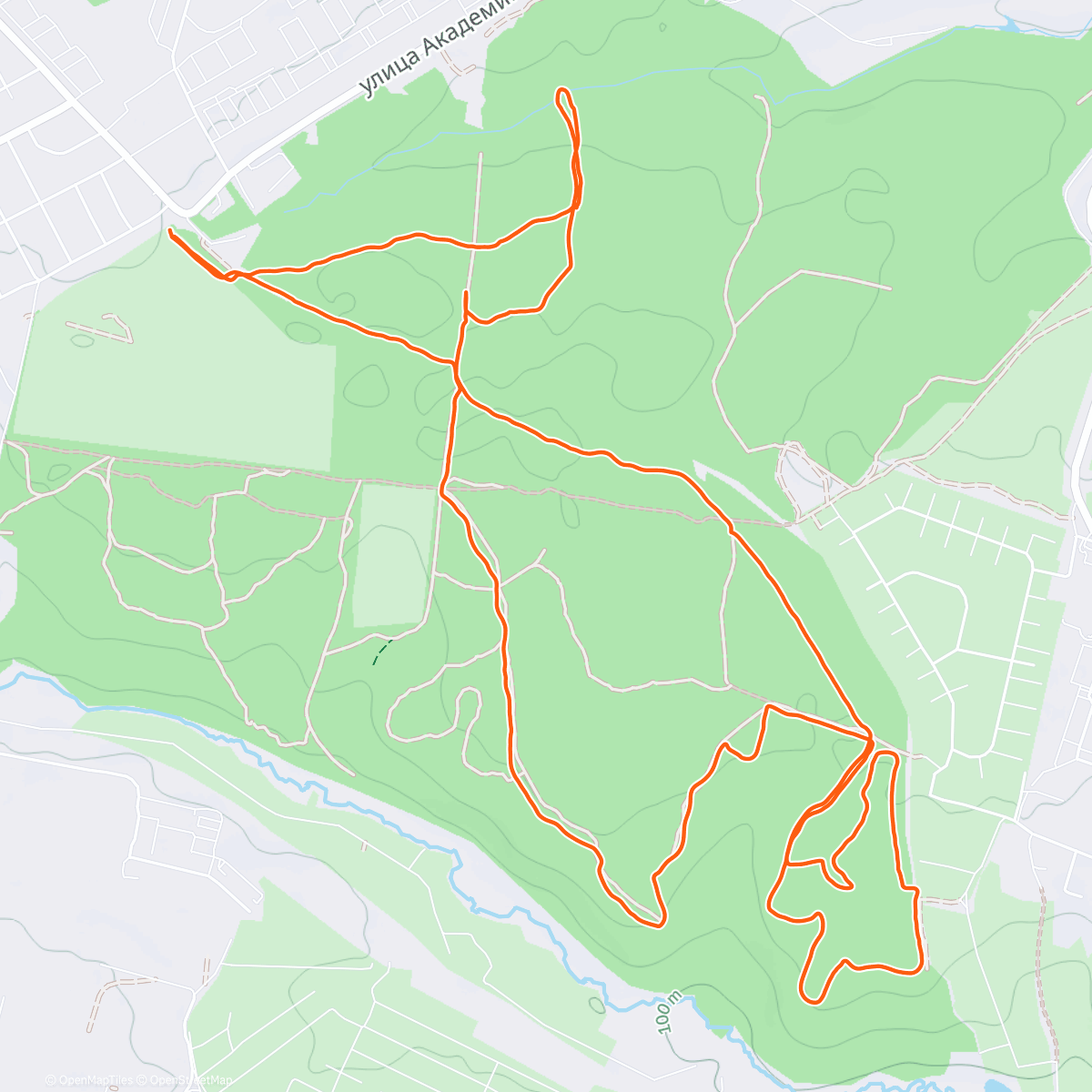 Карта физической активности (Анкудиновский)