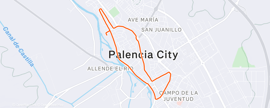Карта физической активности (San Silvestre Palencia)