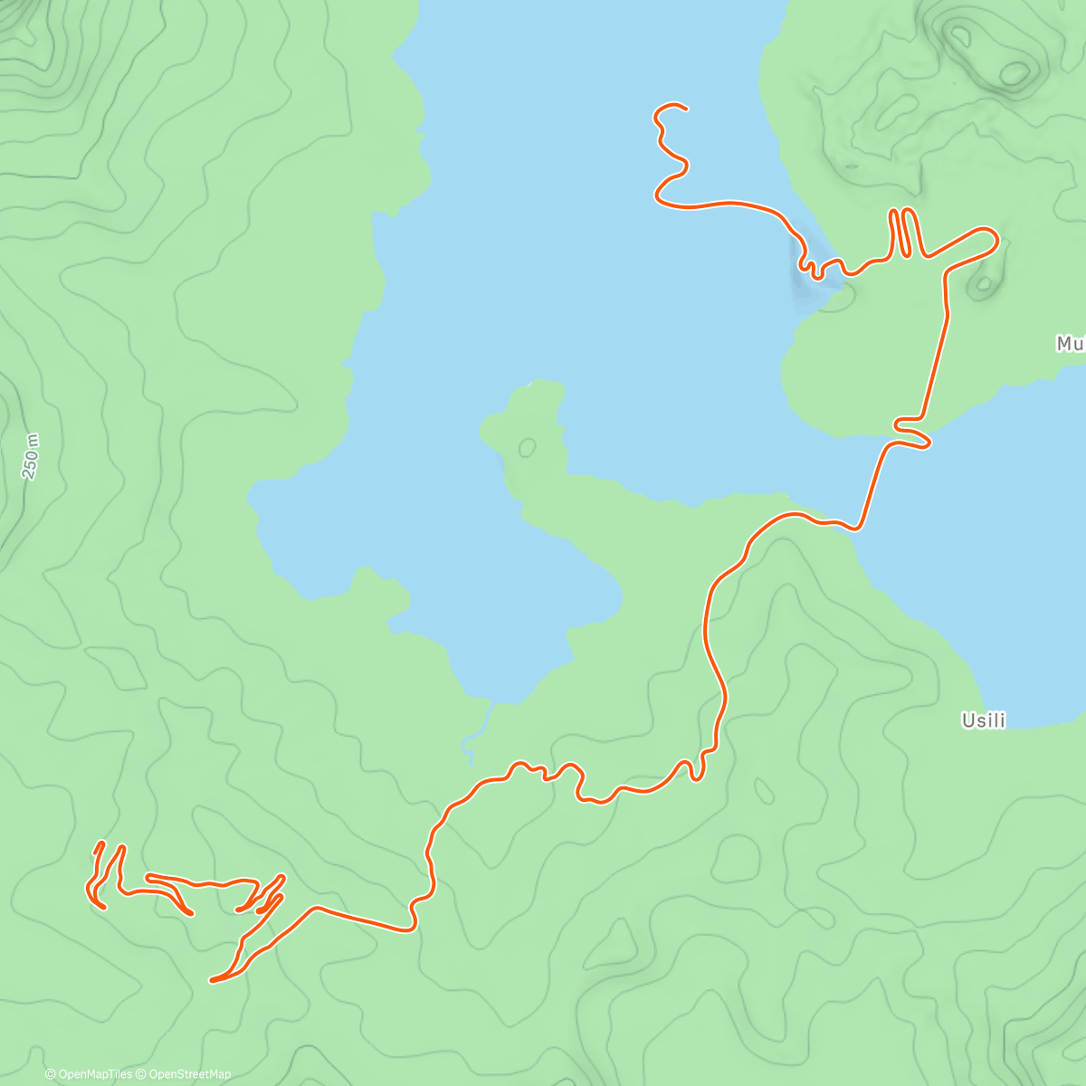 Карта физической активности (Zwift - Tour of Fire and Ice in Watopia)