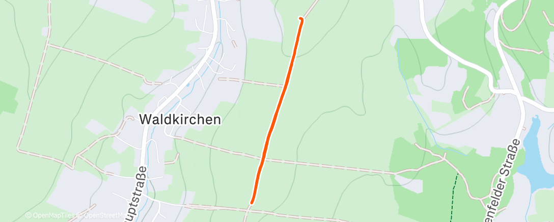 Map of the activity, Morning Run