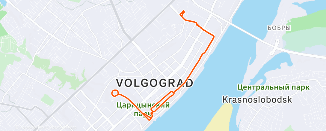 Карта физической активности (Evening Run)