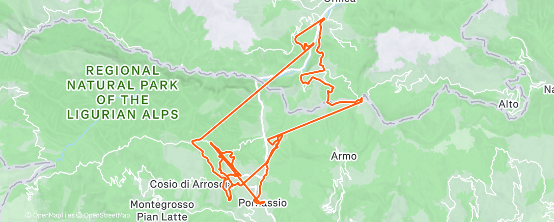 Карта физической активности (Shuttle day Nava)