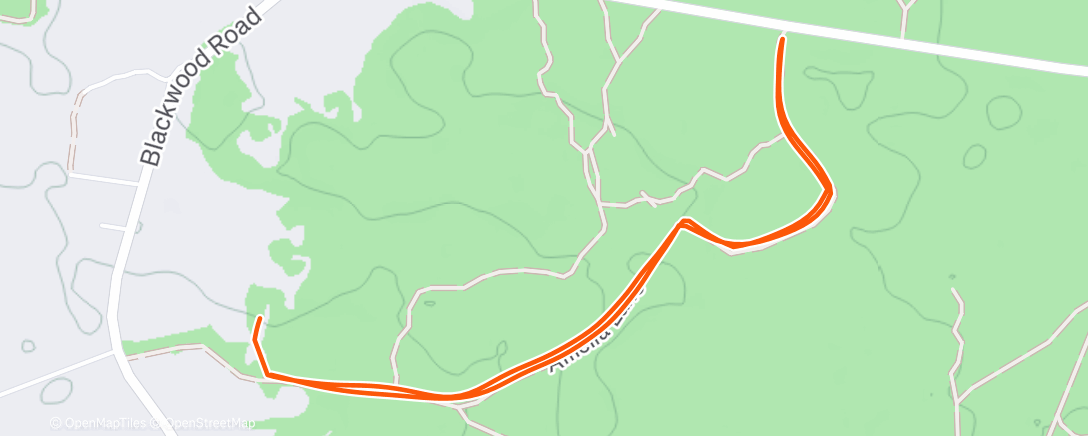 Map of the activity, Morning Run