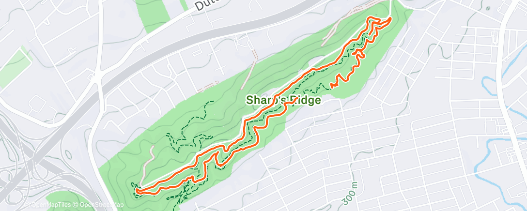 Карта физической активности (Afternoon Walk)