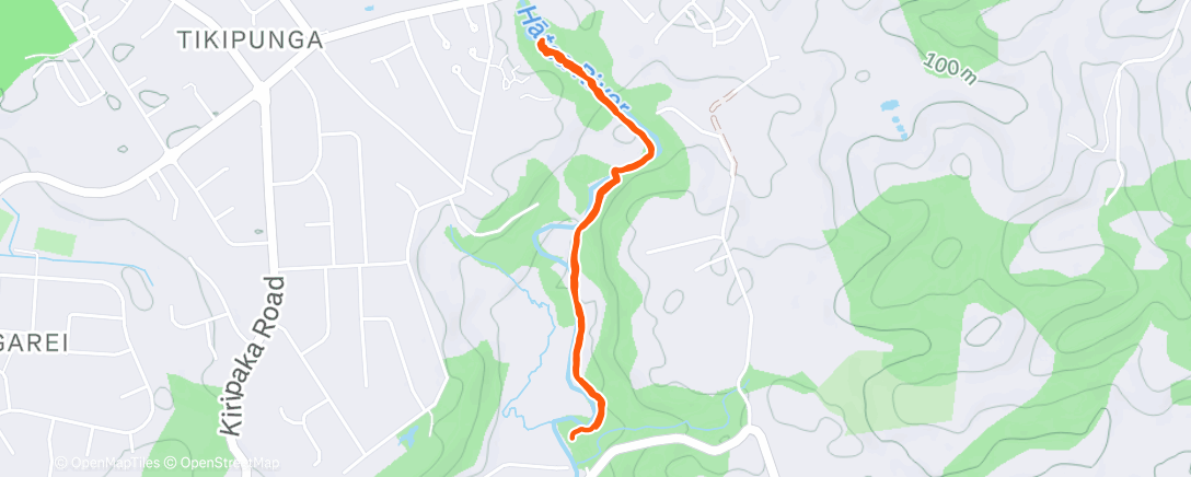 Карта физической активности (Afternoon Walk)