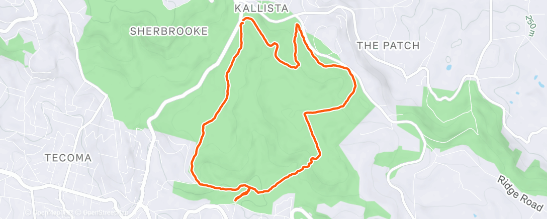 Map of the activity, Morning Walk