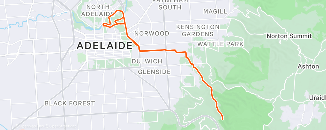 Map of the activity, That was honest