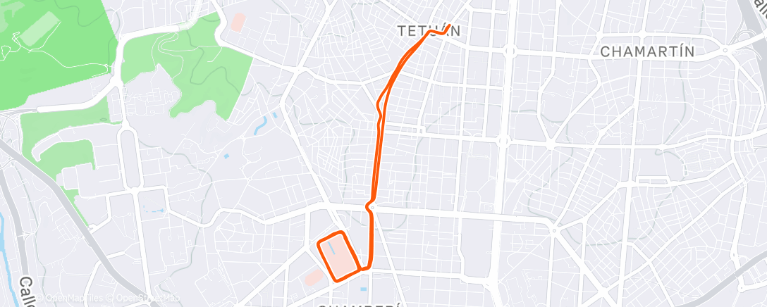 Карта физической активности (Evening Run)