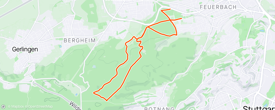 Map of the activity, Lauf am Nachmittag Teil 2
