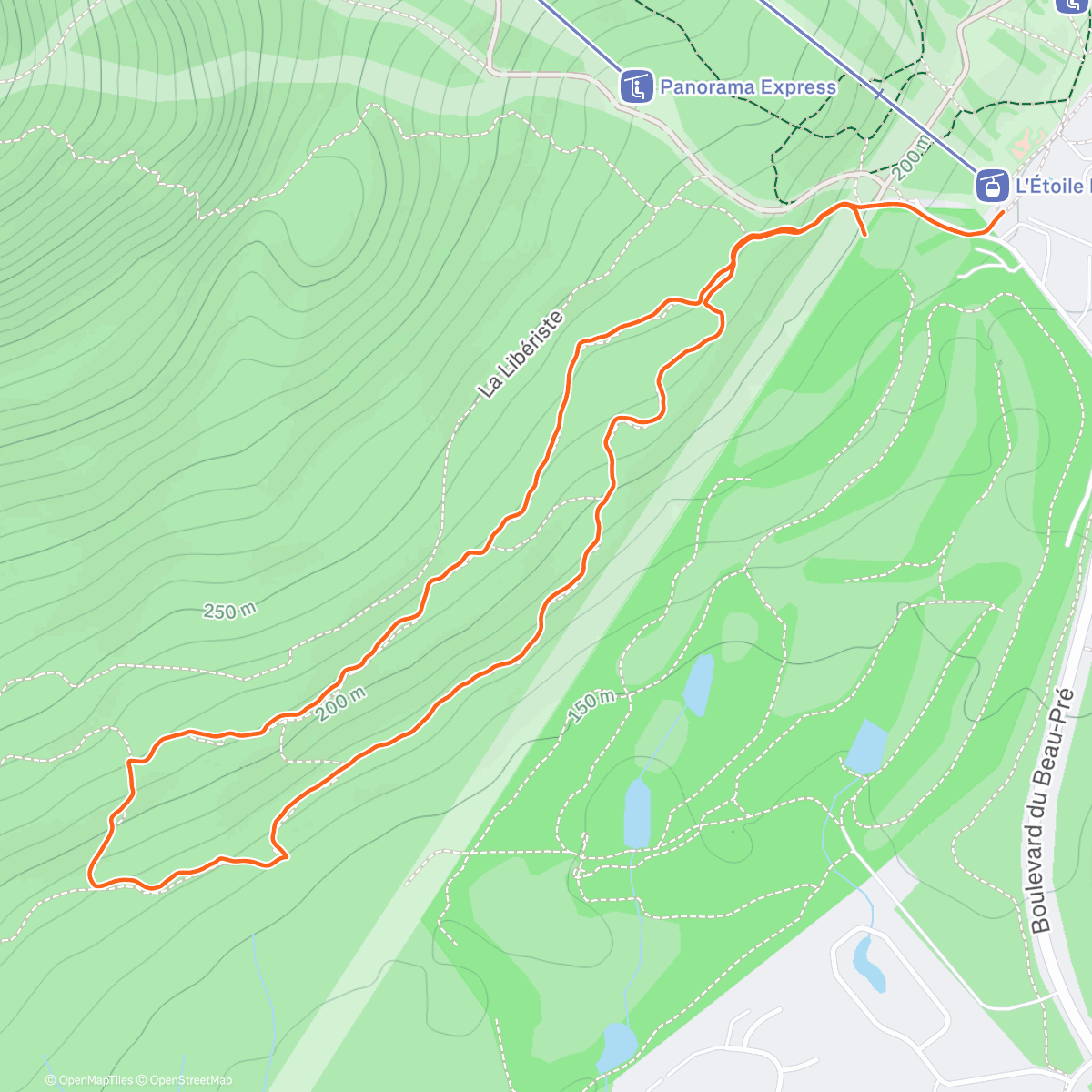 Карта физической активности (Morning Snowshoe)