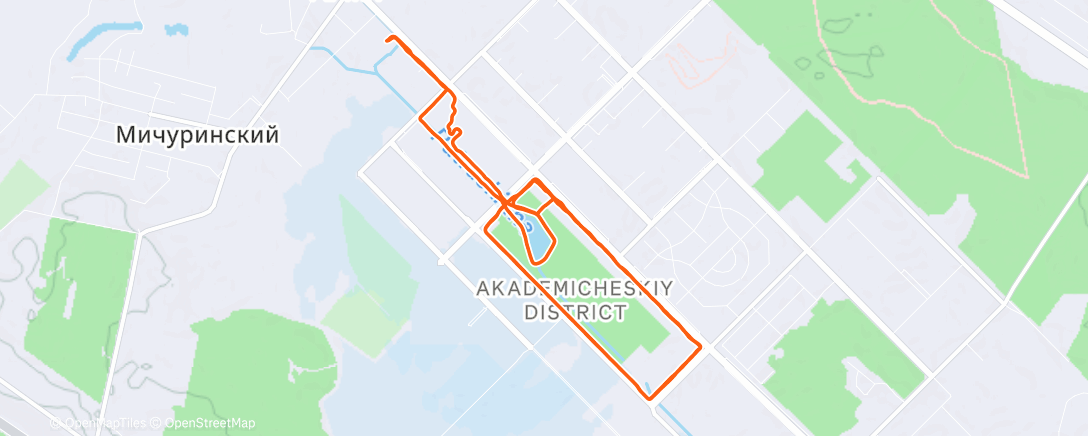 Карта физической активности (Дневной забег)