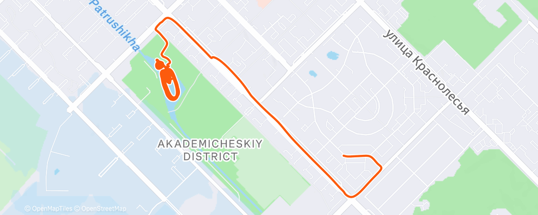 Карта физической активности (Катание на коньках (день))