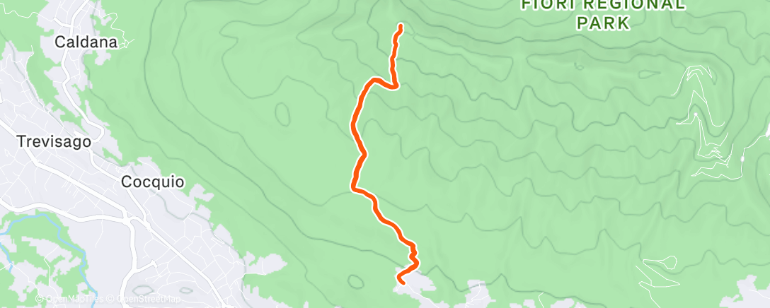 Map of the activity, Prova caviglia 2