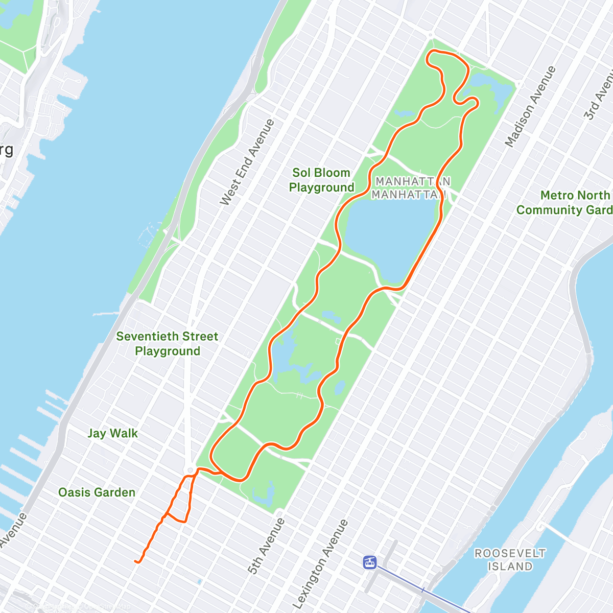 Map of the activity, 20 KM up and down hill run in Central Park ❄️❤️