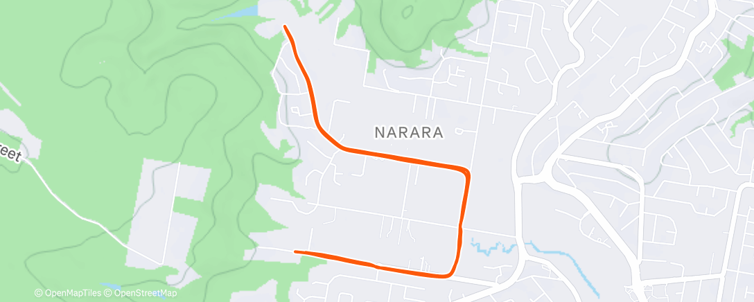 Map of the activity, Evening Run