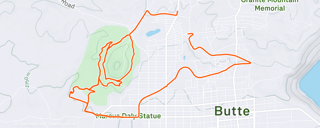 Карта физической активности (Morning Run)