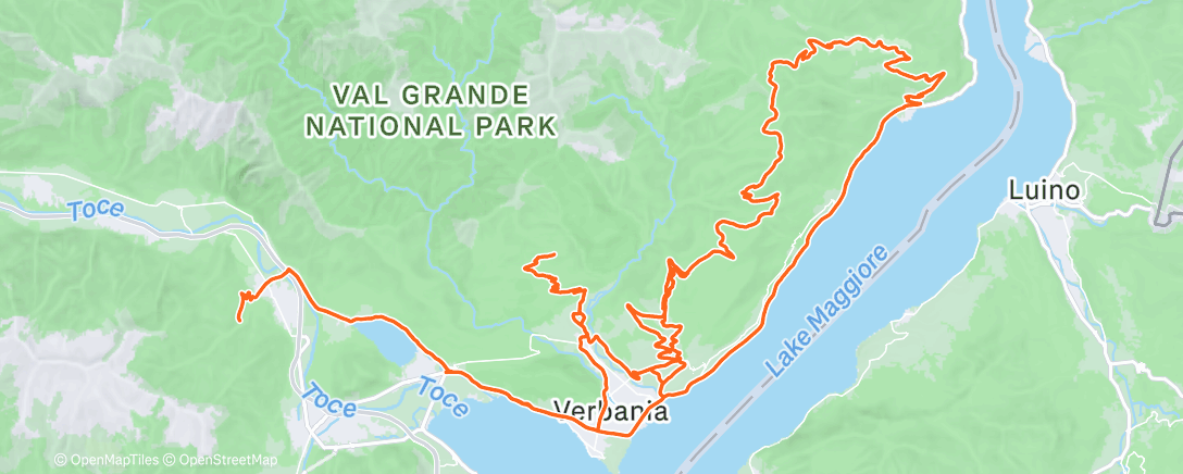 Map of the activity, Felicità!