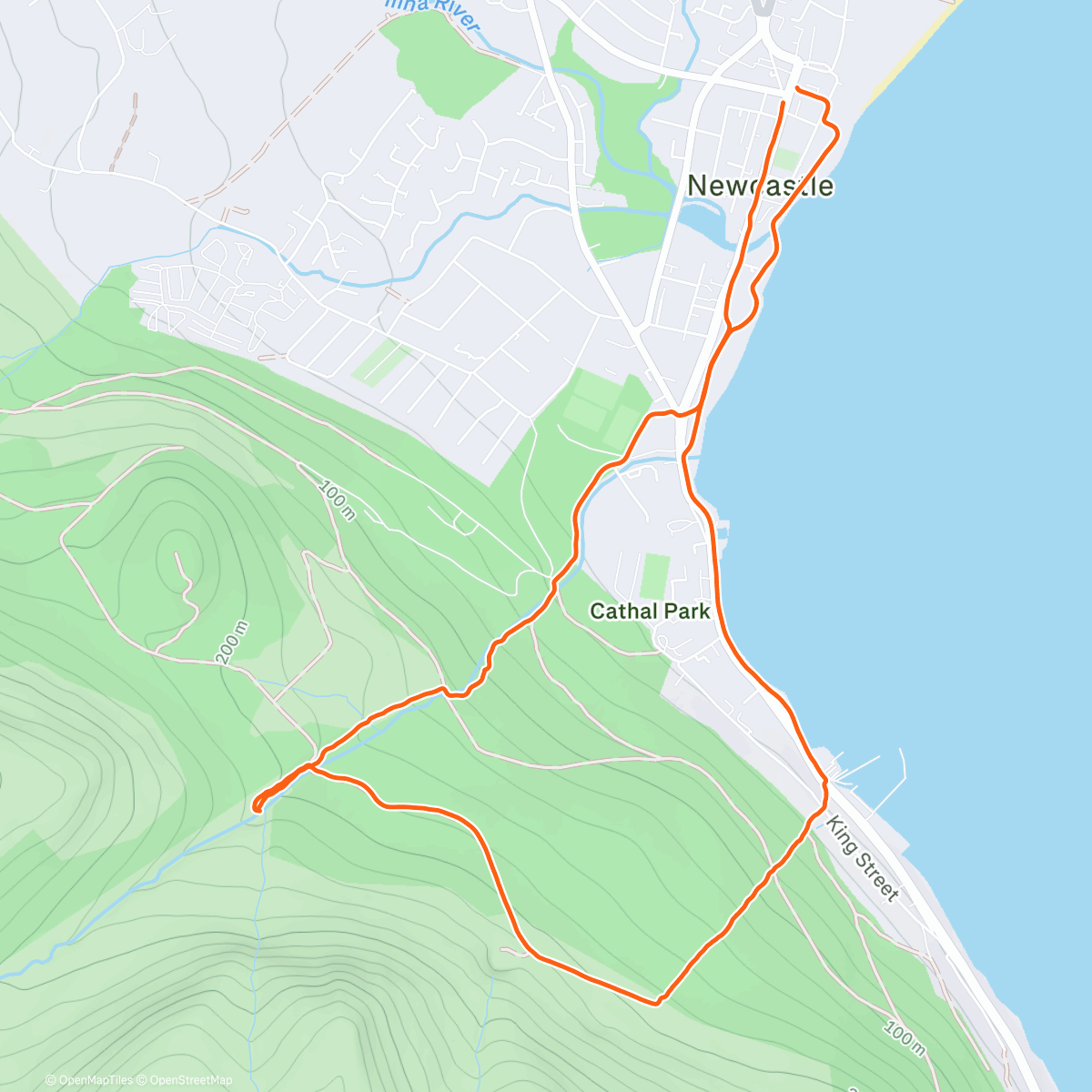 Карта физической активности (Morning Trail Run)