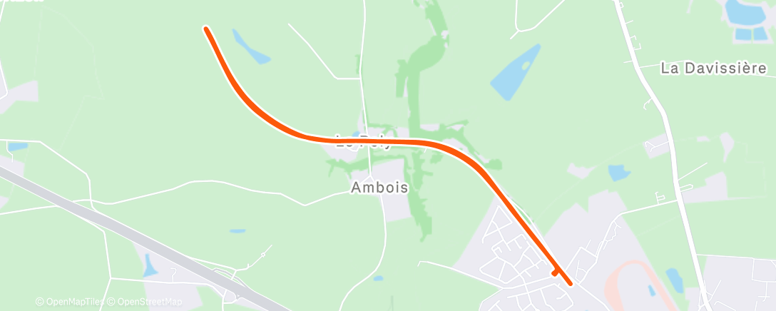 Map of the activity, Morning Run