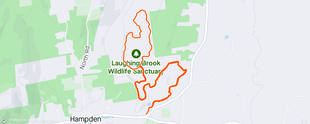 Map of the activity, Morning Trail Run