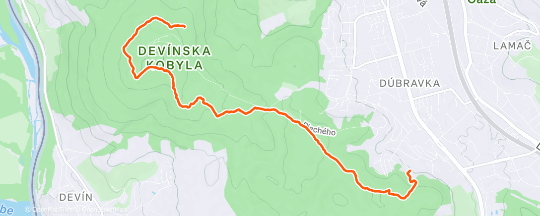 Map of the activity, 1DK - 🎅