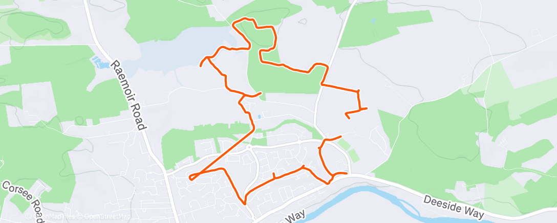 Карта физической активности (Christmas hash)