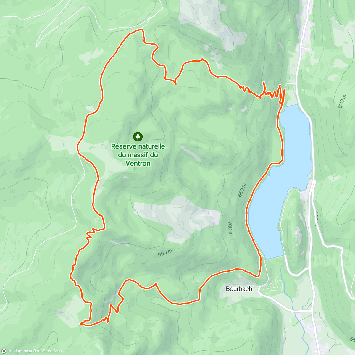 Map of the activity, Marche matin