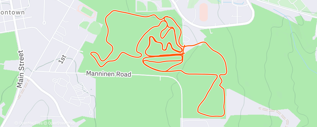 Карта физической активности (Evening Nordic Ski)