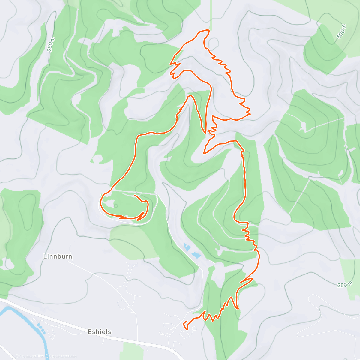 Карта физической активности (eBirthday solo red)