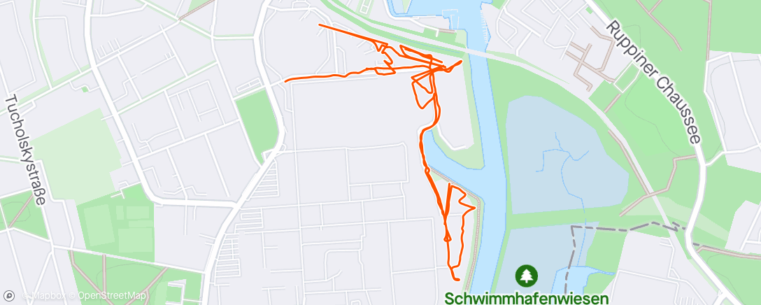 Map of the activity, Stichtagsmessung