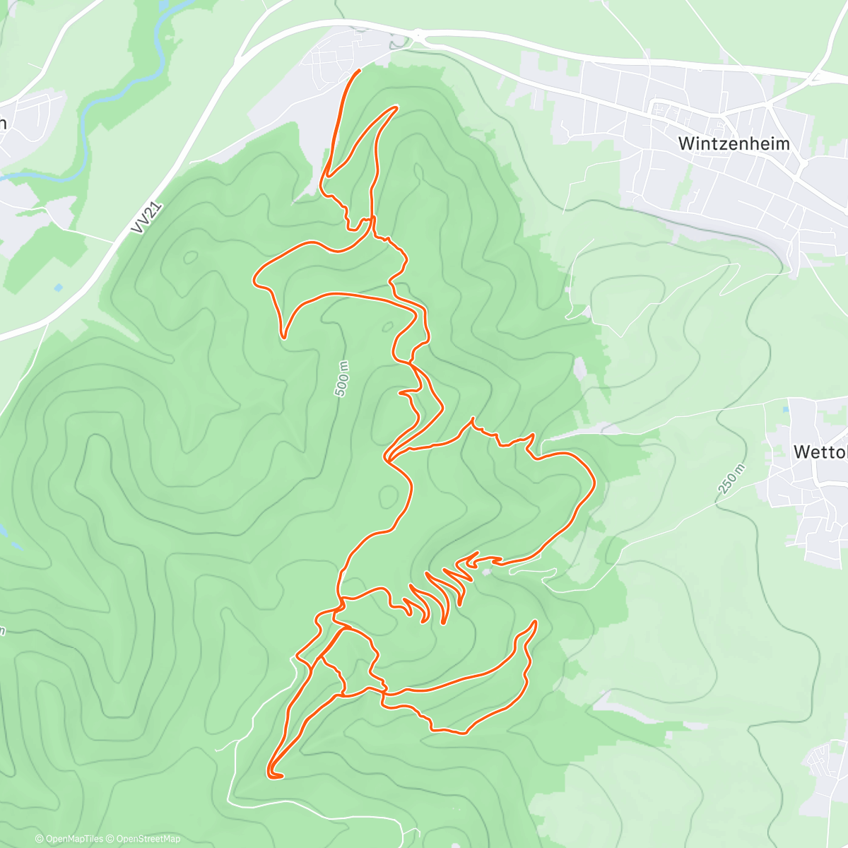 Map of the activity, Wintzenheim