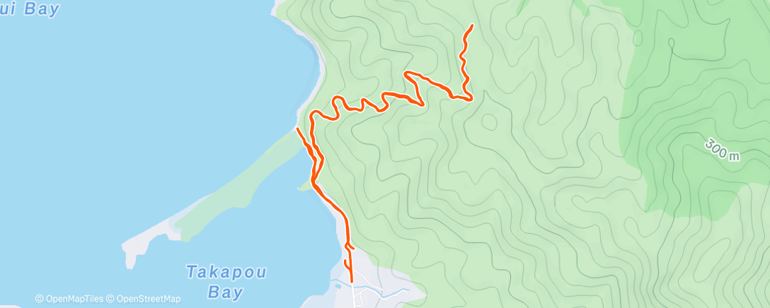 Carte de l'activité Afternoon Run