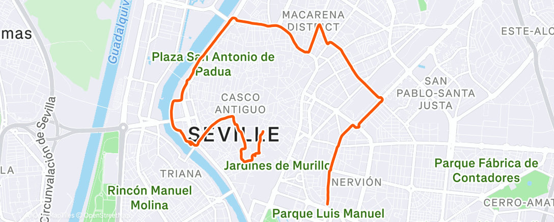 Карта физической активности (Transition)