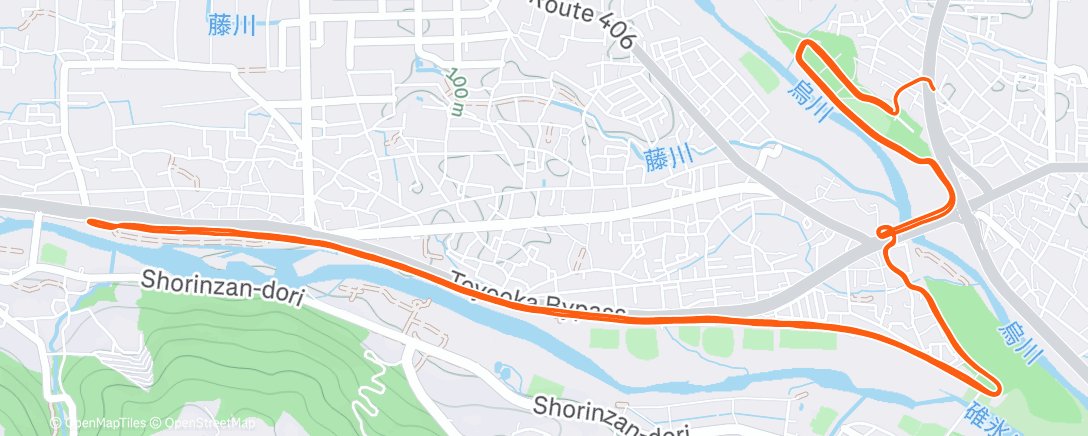 Карта физической активности (2週間振りのリハビリ？ラン)