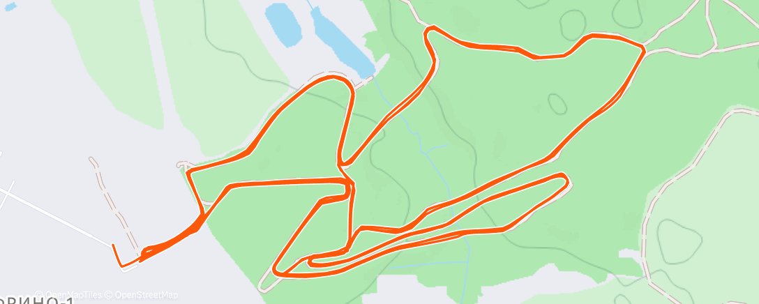 Карта физической активности (Тренировка (после обеда))